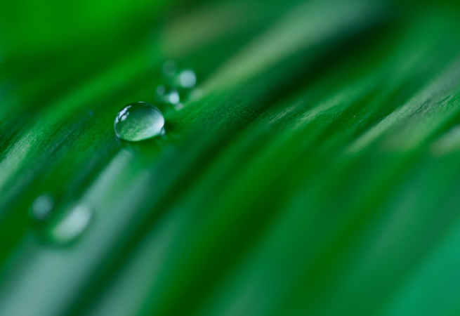 Download Sustainability Report - Avalue Technology